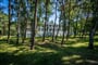 pl NAT Krynica Morska ext 58 053