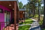 pl NAT Krynica Morska ext 73 056