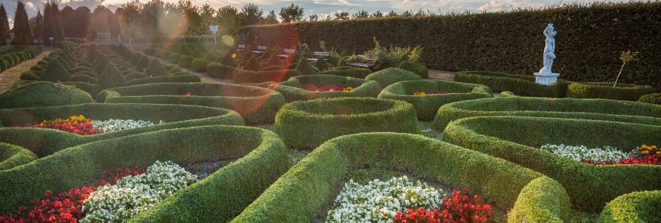 pl NAT OW Gwarek Hortulovy zahrady v Dobrzyci 016