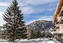 Hotel Monte Cervino *** - Champoluc