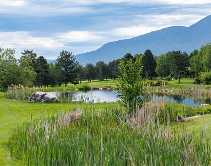 Pirin Golf Rough