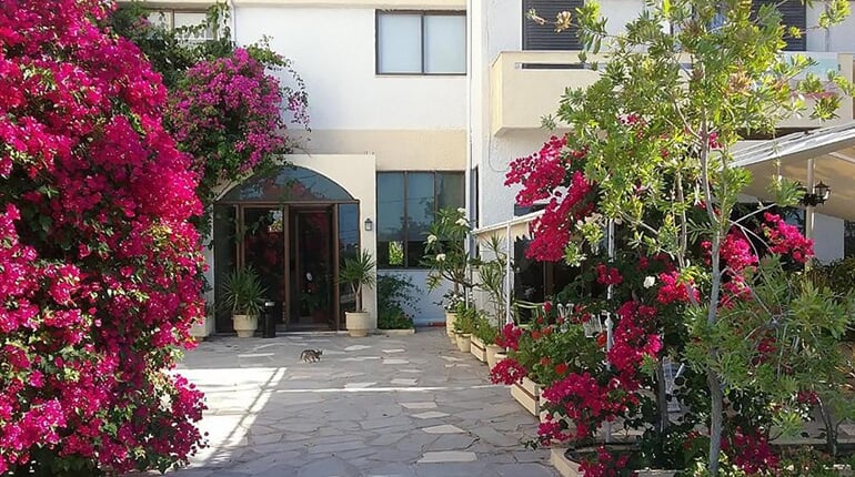 Hotel Esperides: fotografie vybavení exteriérů a interiérů ubytování.