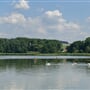 Zálešský rybník Vračovice