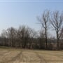 1 B