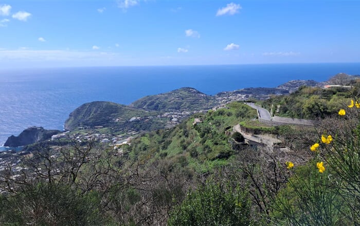 ischia spring.