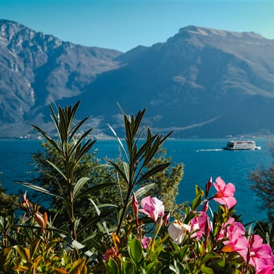 denisa elena ficau 4pVTi6X hhc unsplash malcesine