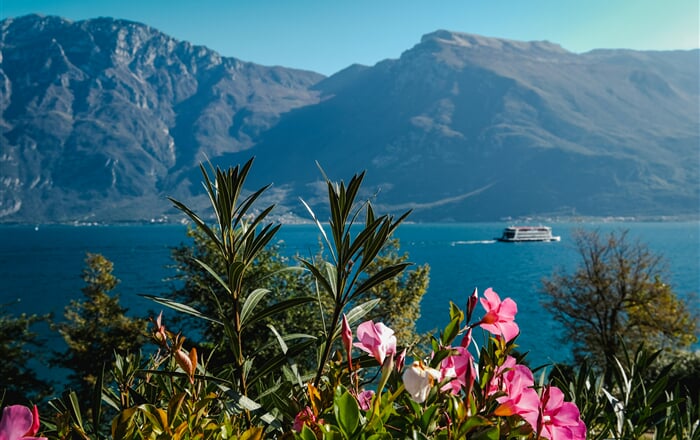denisa elena ficau 4pVTi6X hhc unsplash malcesine