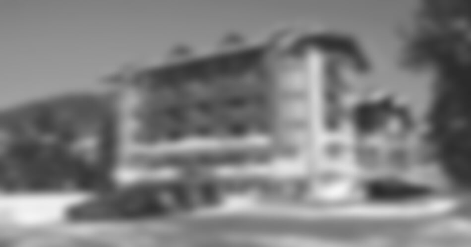 Wildschönau - Niederau - Harmony Hotel Sonnschein ****