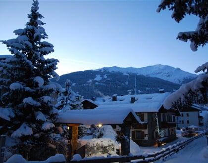 Chalet Gardenia Bormio (15)