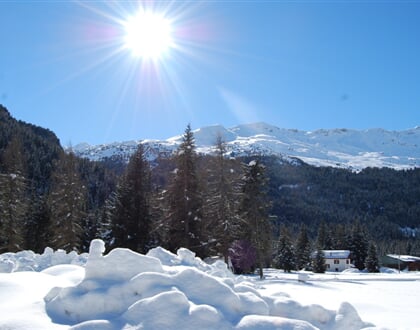 Chalet Gardenia Bormio (2)