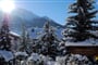 Chalet Gardenia Bormio (3)