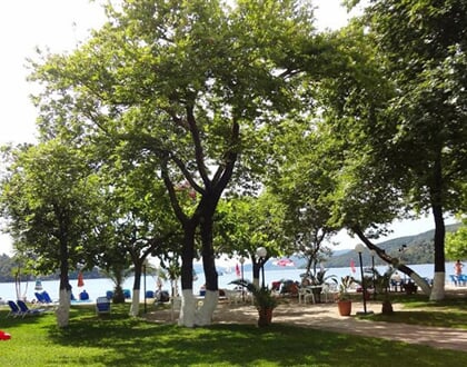 Avra-Beach (6)