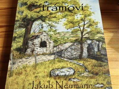 Kámen a trámoví   Jakub Neumann