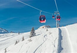 Brixental - Brixental a Wildschönau - lyžařský zájezd bez nočního přejezdu