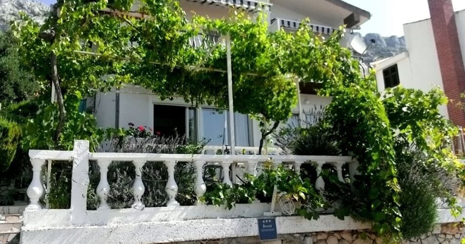 Bilela vila - apartmány v soukromí - Pisak - 101 CK Zemek - Chorvatsko