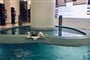 Hotel Kresten Palace: fotografie vybavení exteriérů a interiérů ubytování.