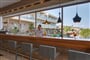 PALM-BAR-2-1024x683