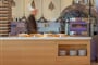 Arina-Beach-Resort-Ariadne-Main-Buffet-Restaurant-191