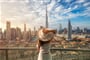 Foto - Dámská jízda v Dubaji + PLAVBA V DUBAI MARINA + LET BALÓNEM (letecky z Prahy)