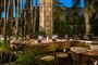 asian-restaurant-4977221
