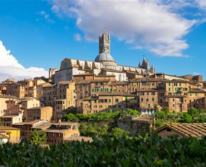 alessandro rossi JU Bgza3ZHE unsplash siena