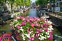 Foto - Amsterdam pro rodiče a děti + SVĚT MINIATUR + HRAVÉ MUZEUM NEMO (letecky z Prahy