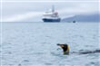na jachtě Sea Spirit absolvujeme unikátní expedici, která kombinuje návštěvu Antarktidy, Falkland a Jižní Goergie