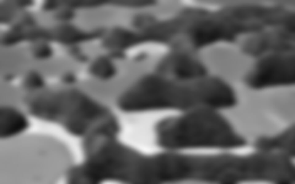 Palau - ostrovní perla Mikronésie s výlety