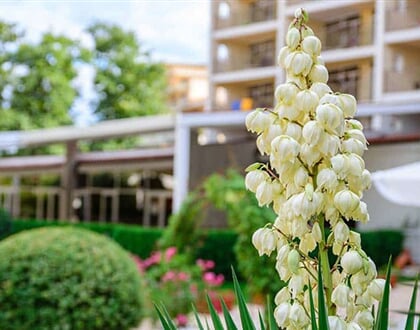 Hotel-Madara-Park (4)