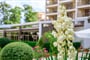 Hotel Madara Park: fotografie vybavení exteriérů a interiérů ubytování.