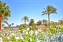 Hotel Parrotel Beach Resort: fotografie vybavení exteriérů a interiérů ubytování.