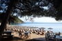 Elivi-Skiathos-Hotel-28