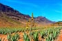 Foto - To nejlepší z ostrova Gran Canaria + DUNY V MASPALOMAS + MOŘE (letecky z Prahy)