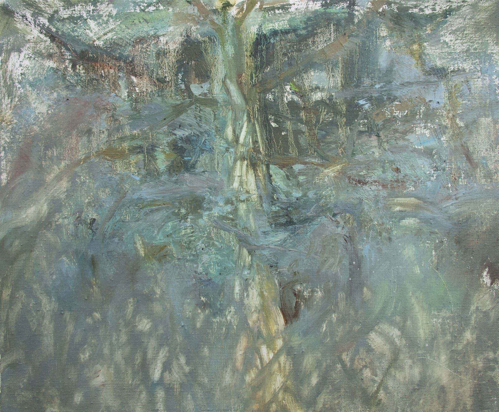 Adéla Topolová: Strom, 50 × 60 cm