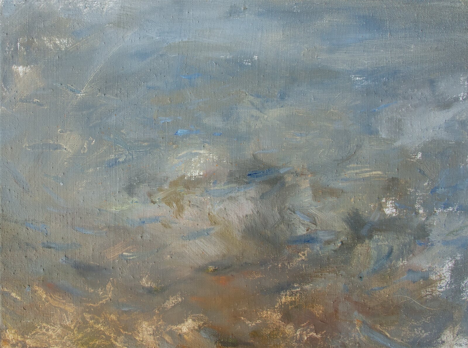 Adéla Topolová: Rybičky, 45 × 60 cm
