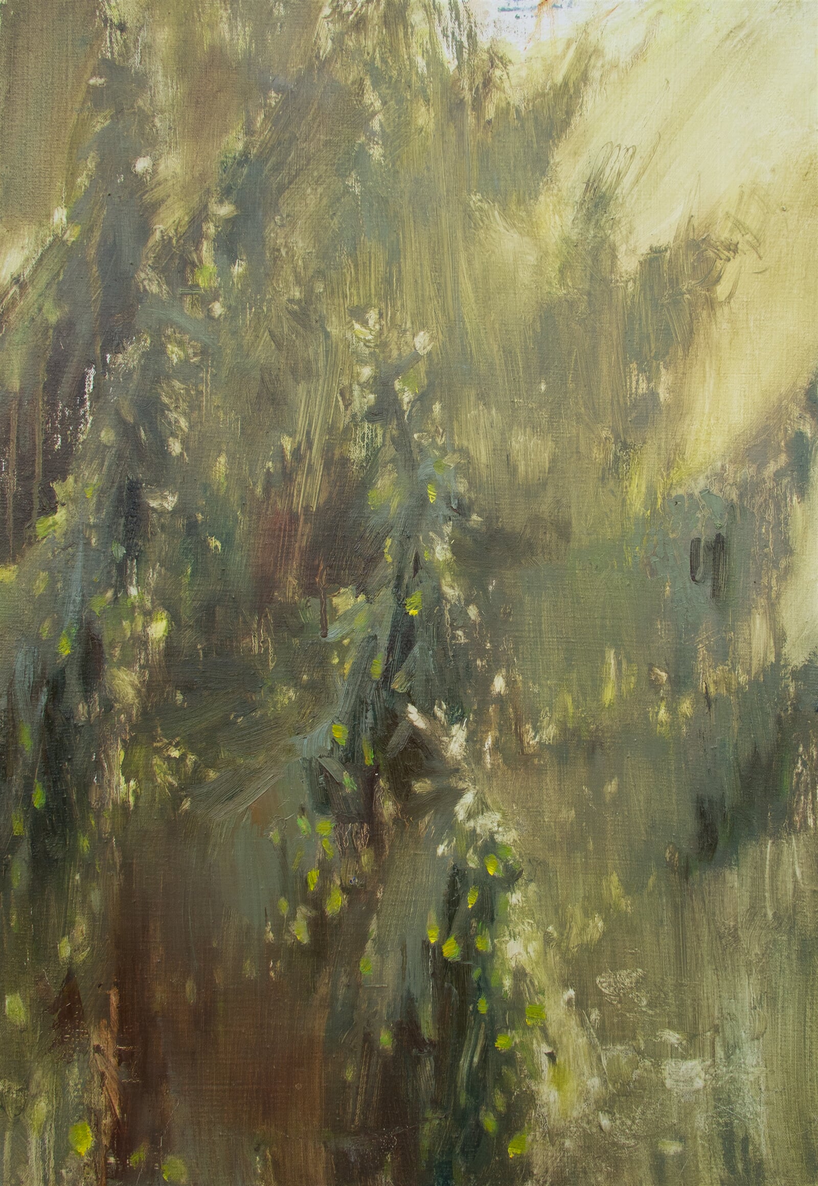 Adéla Topolová: Výhonky, 65 × 45 cm