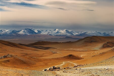 Mongolsko – Poušť Gobi, Čingischán A Divocí Koně