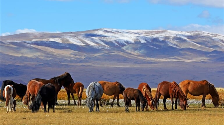 Mongolsko poznávací zájezd