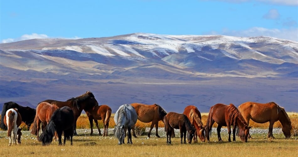 Mongolsko poznávací zájezd