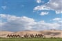 Mongolsko - duny Khongor