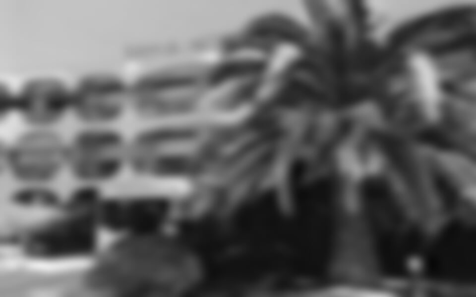 Villenueve-Loubet - Hotel Bahia ***