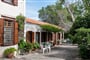 Lelas-Olive-Grove-Eftalou-2