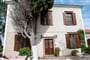 Lelas-Olive-Grove-Eftalou-3