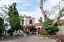 Lelas-Olive-Grove-Eftalou-32