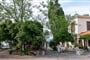 Lelas-Olive-Grove-Eftalou-33