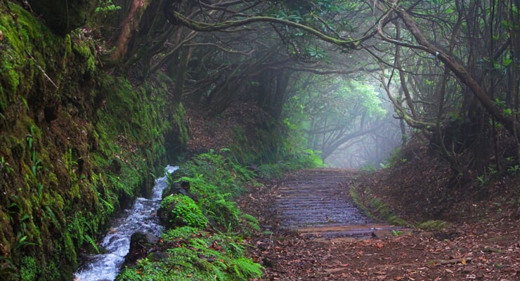 Madeira (Portugalsko), systém levád na ostrově