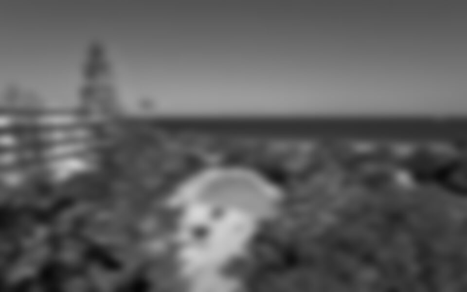 Ialyssos - Blue horizon ****