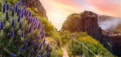 Madeira, květinová perla Atlantiku