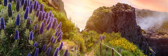 Madeira, květinová perla Atlantiku