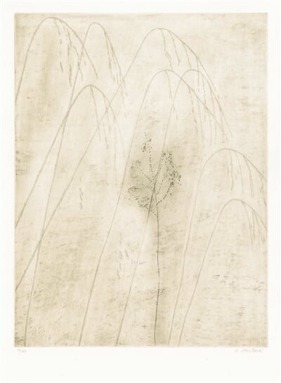 Les Herbes